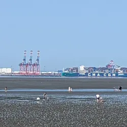 JadeWeserPort - Wilhelmshaven