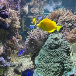 Marine Aquarium Wilhelmshaven - Wilhelmshaven