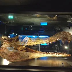 Marine Aquarium Wilhelmshaven - Wilhelmshaven