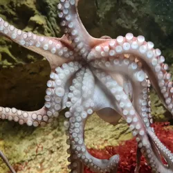 Marine Aquarium Wilhelmshaven - Wilhelmshaven