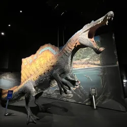 Marine Aquarium Wilhelmshaven - Wilhelmshaven