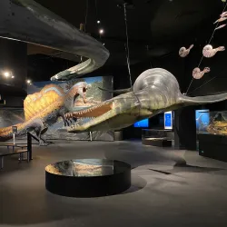 Marine Aquarium Wilhelmshaven - Wilhelmshaven