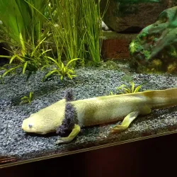 Marine Aquarium Wilhelmshaven - Wilhelmshaven