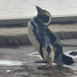 Marine Aquarium Wilhelmshaven - Wilhelmshaven