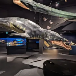 Marine Aquarium Wilhelmshaven - Wilhelmshaven