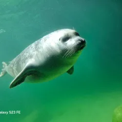 Marine Aquarium Wilhelmshaven - Wilhelmshaven