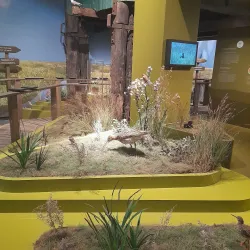 Wattenmeer National Park Visitor Center - Wilhelmshaven