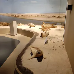 Wattenmeer National Park Visitor Center - Wilhelmshaven