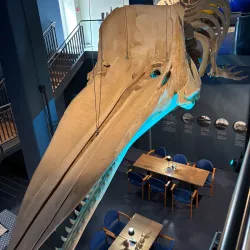 Wattenmeer National Park Visitor Center - Wilhelmshaven