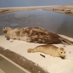 Wattenmeer National Park Visitor Center - Wilhelmshaven