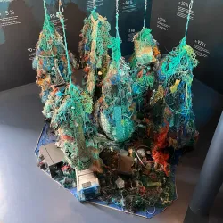 Wattenmeer National Park Visitor Center - Wilhelmshaven