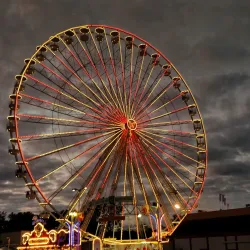 Allerpark - Wolfsburg