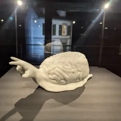 Kunstmuseum Wolfsburg - Wolfsburg