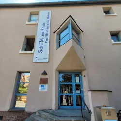 Alte Synagoge (Old Synagogue) - Worms