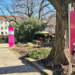 Heylshof Park - Worms