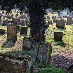 Jewish Cemetery of Worms - Worms