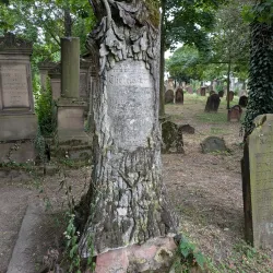 Jewish Cemetery of Worms - Worms