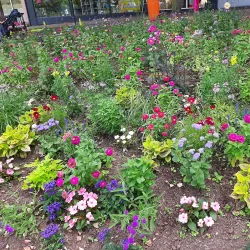 Martin Luther Monument - Worms