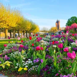 Rhine Promenade - Worms