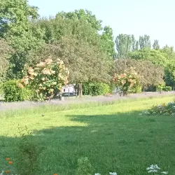 Rhine Promenade - Worms