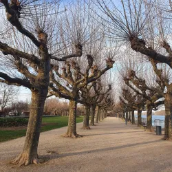 Rhine Promenade - Worms