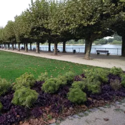 Rhine Promenade - Worms