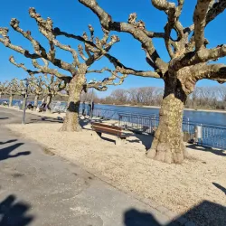 Rhine Promenade - Worms