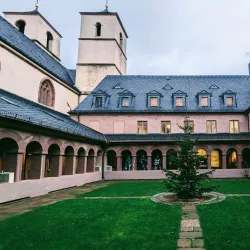 Worms City Museum (Museum der Stadt Worms) - Worms