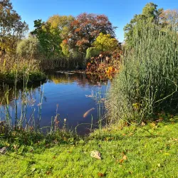 Botanischer Garten Wuppertal - Wuppertal