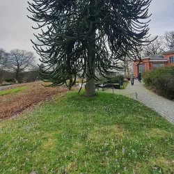 Botanischer Garten Wuppertal - Wuppertal