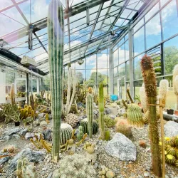 Botanischer Garten Wuppertal - Wuppertal