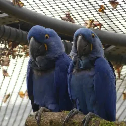Wuppertal Zoo - Wuppertal
