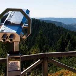 Thuringian Forest Botanical Garden - Zella-Mehlis