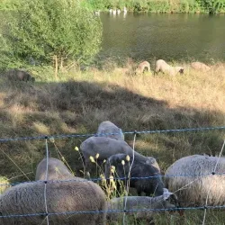 Mulde River Promenade - Zwickau