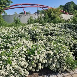 Mulde River Promenade - Zwickau