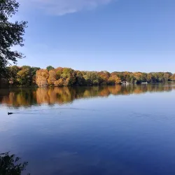 Schwanenteich Park - Zwickau