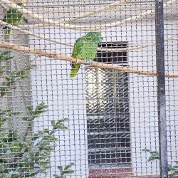 Schwanenteich Park - Zwickau