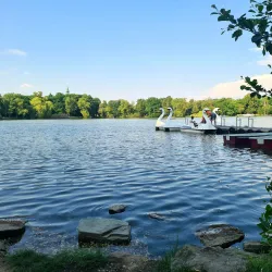 Schwanenteich Park - Zwickau