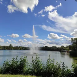 Schwanenteich Park - Zwickau