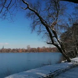 Schwanenteich Park - Zwickau