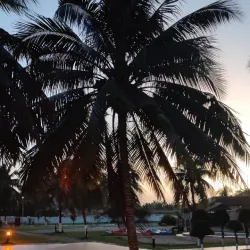 Local Festivals and Cultural Events - Aboso