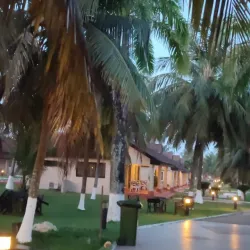 Local Festivals and Cultural Events - Aboso