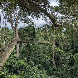 Nearby Kakum National Park (Day Trip) - Aboso