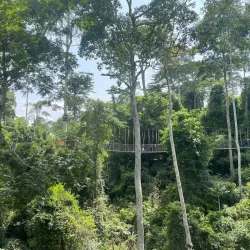 Nearby Kakum National Park (Day Trip) - Aboso