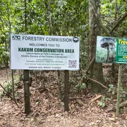 Nearby Kakum National Park (Day Trip) - Aboso