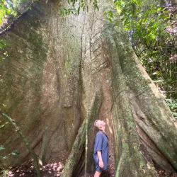 Nearby Kakum National Park (Day Trip) - Aboso