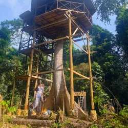 Nearby Kakum National Park (Day Trip) - Aboso