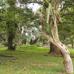 Aburi Botanical Gardens - Accra