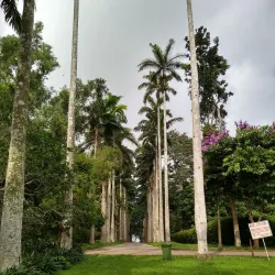 Aburi Botanical Gardens - Accra