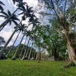 Aburi Botanical Gardens - Accra